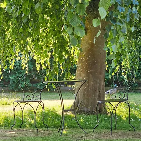 Mit Meerblick Und Garten *