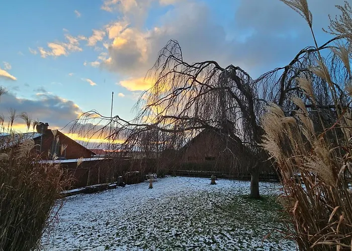 Lägenhet Mit Meerblick Und Garten Fehmarn